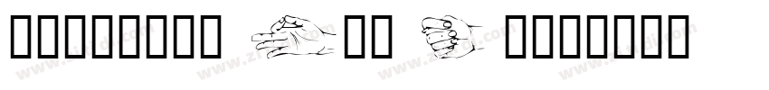 handsome Pro Bold字体转换